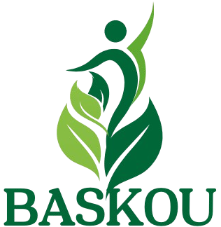 baskou.com