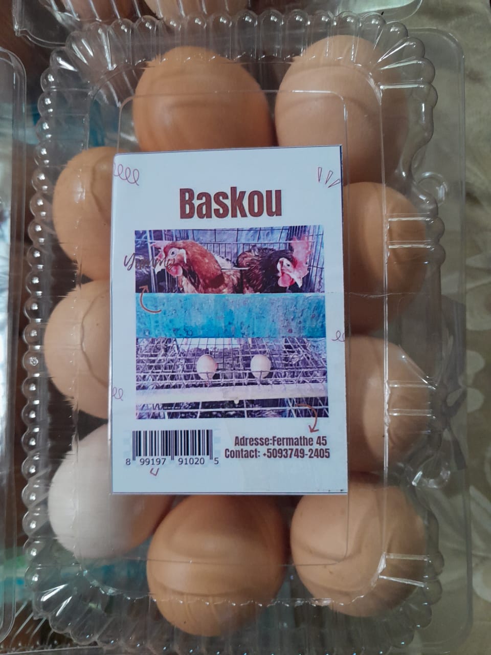 baskou